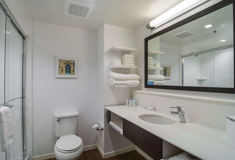 فندق Hampton Inn Chicago North-loyola Station