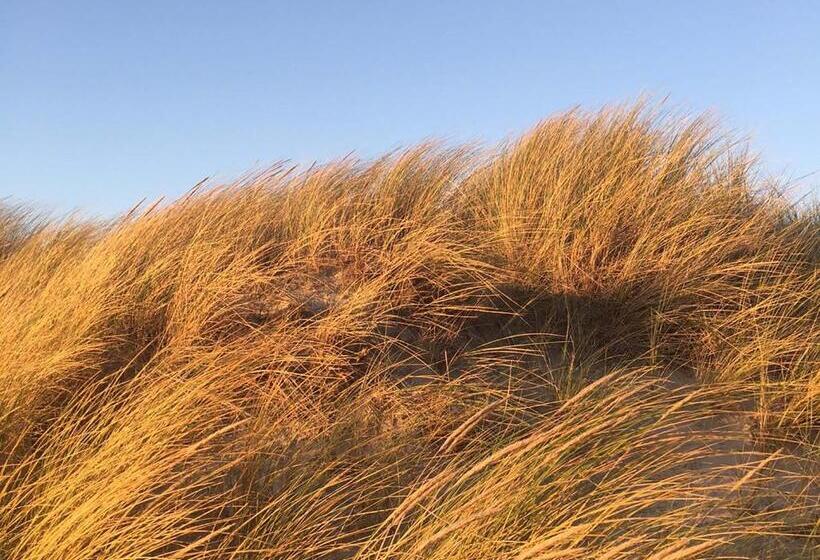 هتل Haus Seeblick