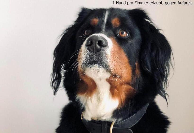 هتل Haus Seeblick