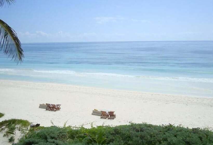 Hotel Nueva Vida De Ramiro