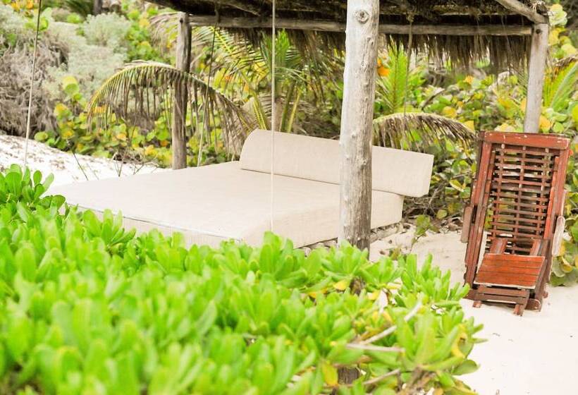 Hotel Nueva Vida De Ramiro