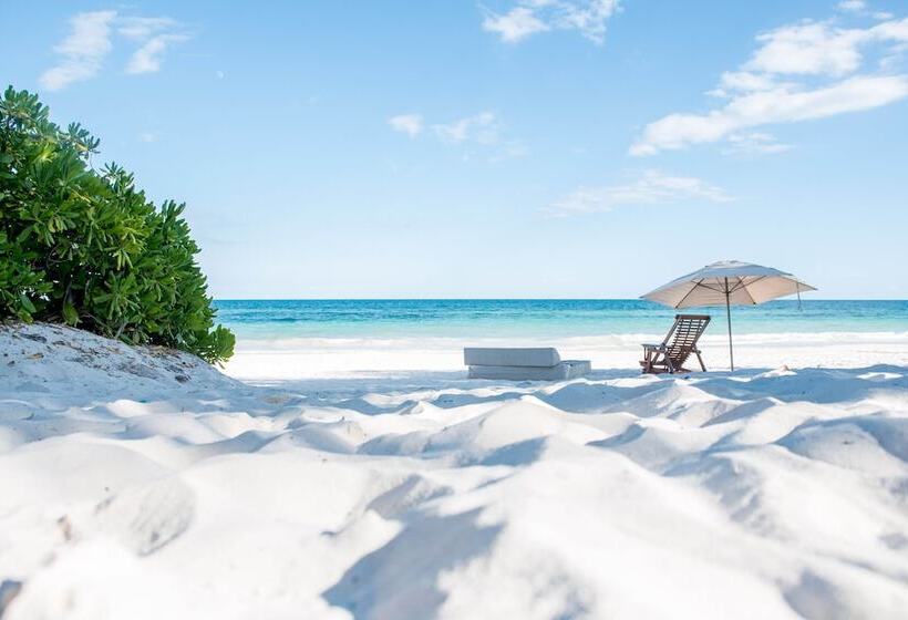 Hotel Nueva Vida De Ramiro