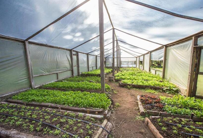 Hôtel Recanto São Cristóvão Próximo Ao Parque Tarundu