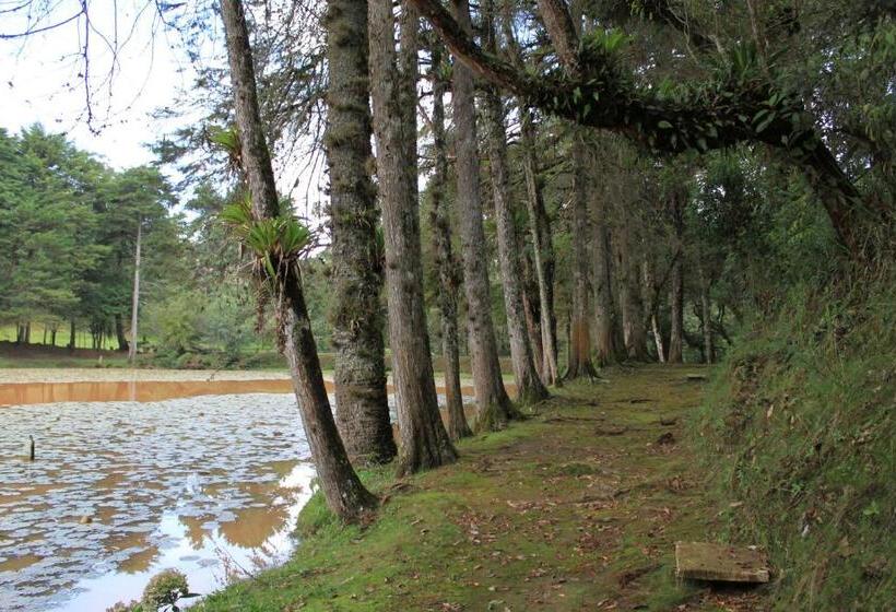 Hôtel Recanto São Cristóvão Próximo Ao Parque Tarundu