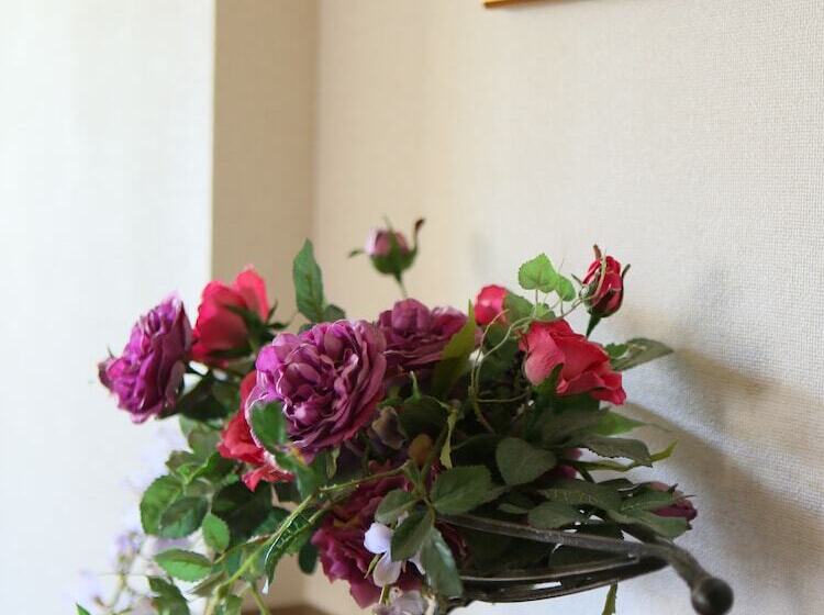 פנסיון Anise Garden