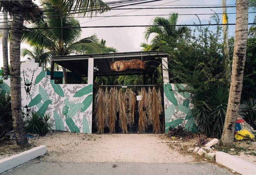 Hostel Oryx Tulum