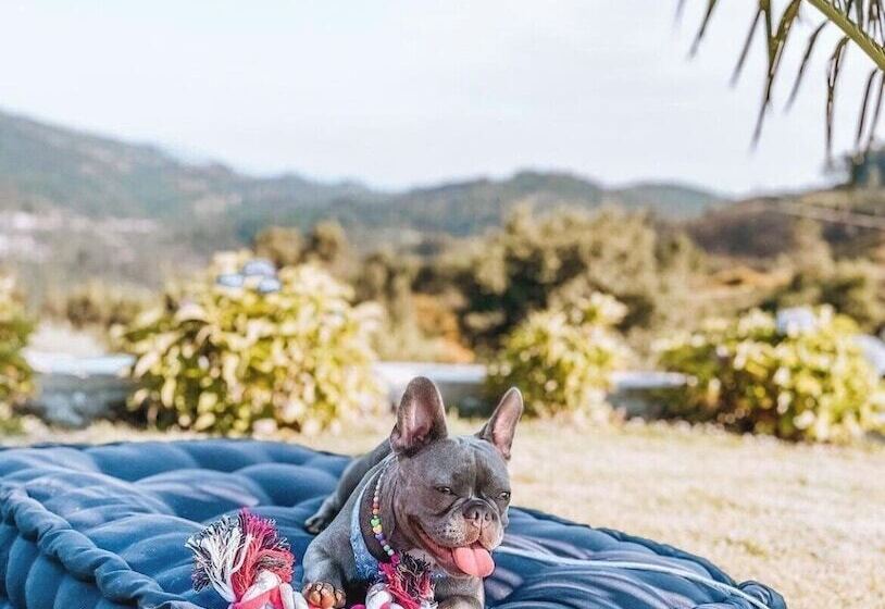 Hotel Cotto Do Gatto