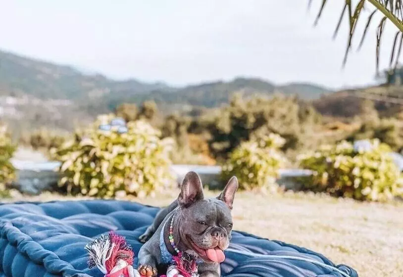 Hotelli Cotto Do Gatto