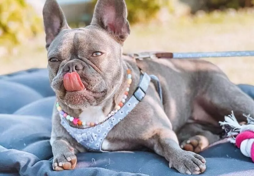 Hotelli Cotto Do Gatto