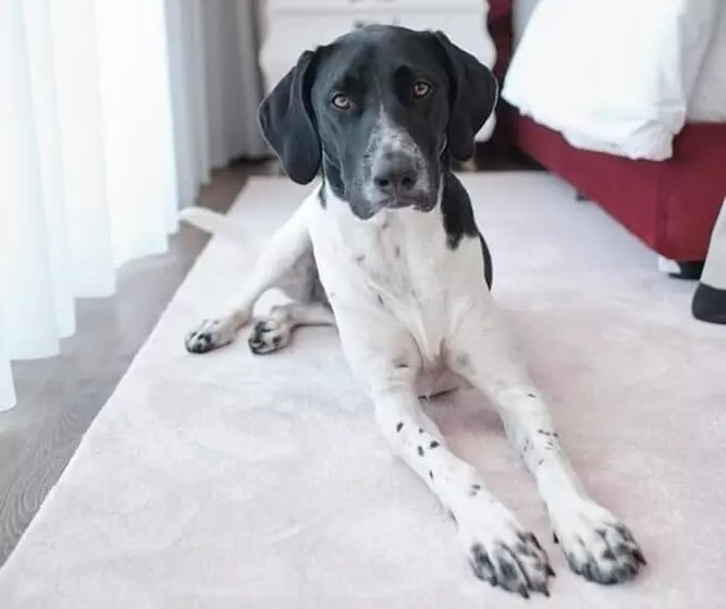 Hotelli Cotto Do Gatto