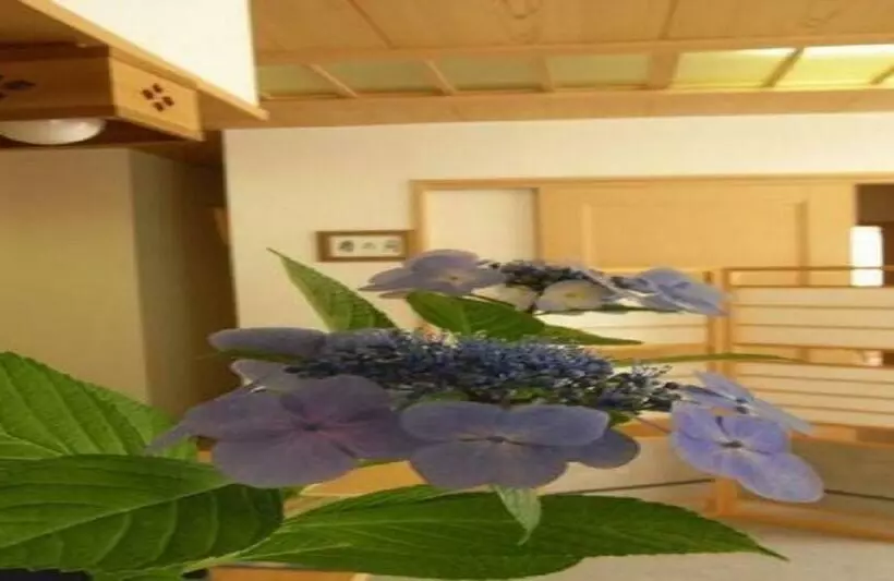 Hotelli Ichigekan / Vacation Stay 8470