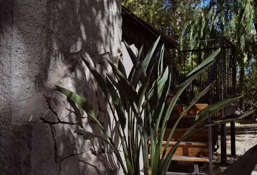 ホテル La Misión Guest House