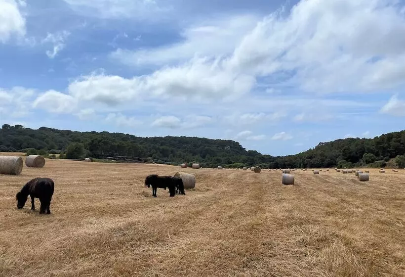 ホテル Llucatx Menorca