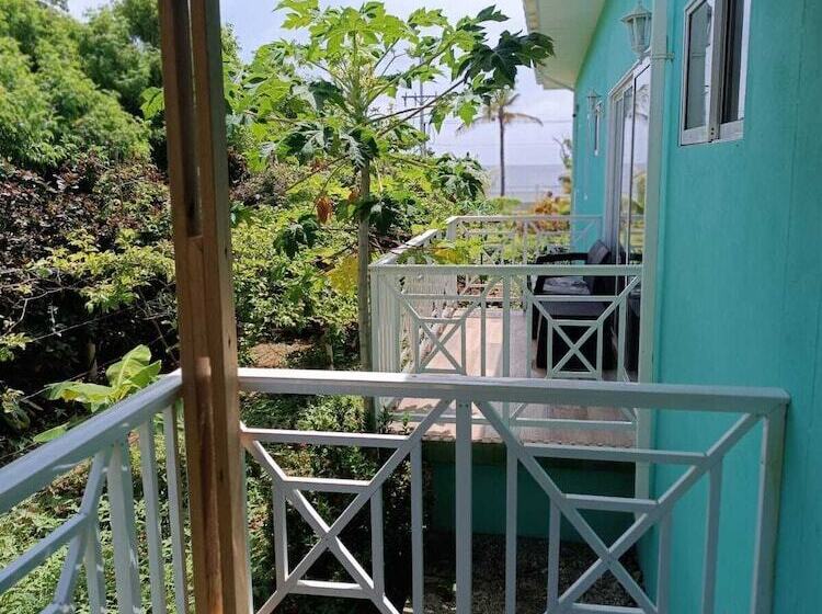 Bed and Breakfast Blue Lizard House