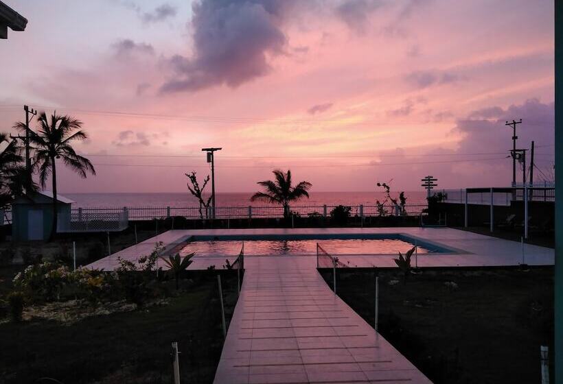 Bed and Breakfast Blue Lizard House