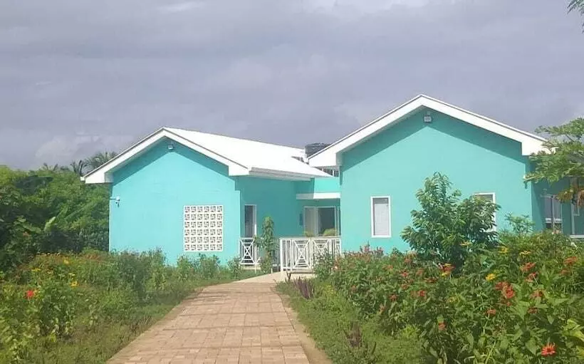 Aamiaismajoitus (B&B) Blue Lizard House