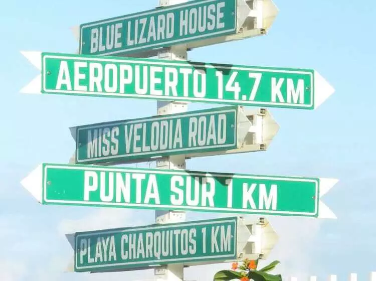 Aamiaismajoitus (B&B) Blue Lizard House