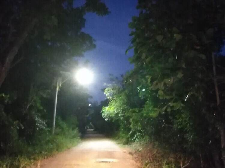 Bed and Breakfast Blue Lizard House