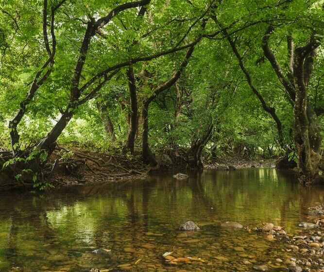 בית מלון כפרי Ferney Nature Lodge