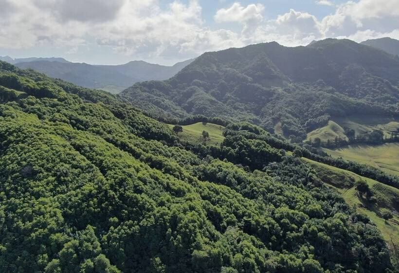 בית מלון כפרי Ferney Nature Lodge