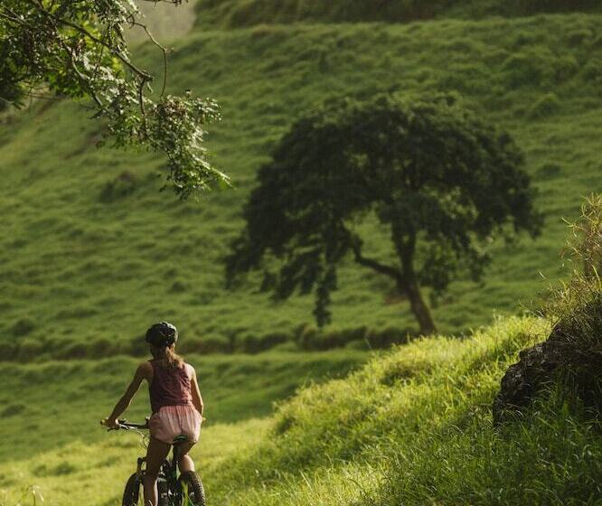 בית מלון כפרי Ferney Nature Lodge