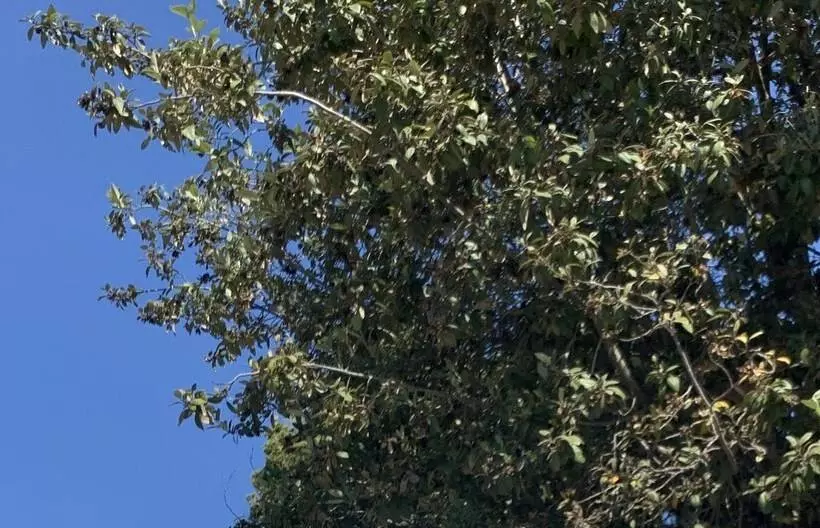 Retkeilymaja Impact Beach House