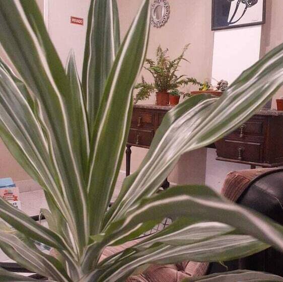 בית מלון כפרי C. 16 62