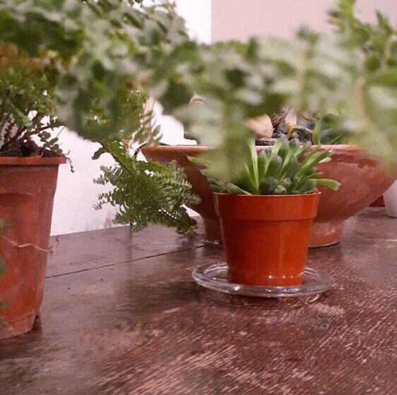 בית מלון כפרי C. 16 62