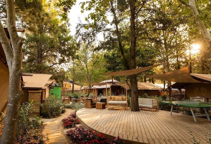 هتل Dunas Luxury Beach Resort Tarifa