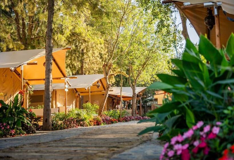 هتل Dunas Luxury Beach Resort Tarifa