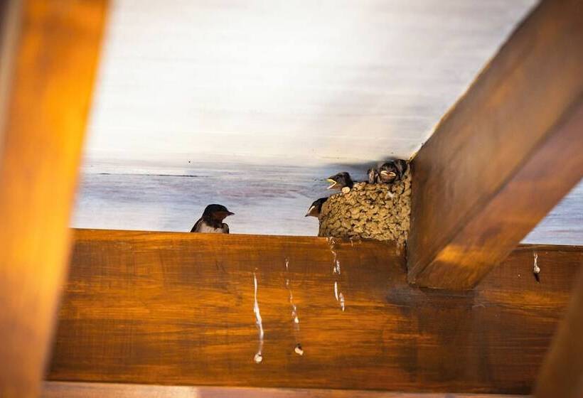 هتل Dunas Luxury Beach Resort Tarifa