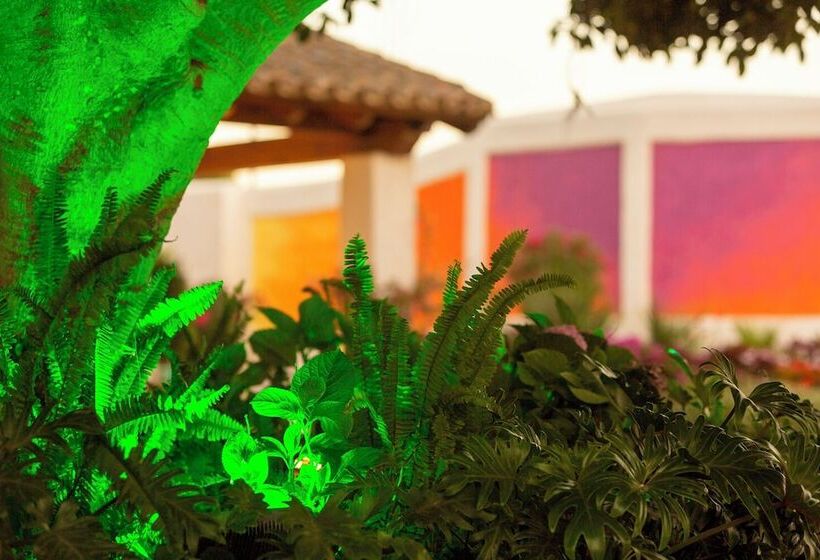 هتل Dunas Luxury Beach Resort Tarifa