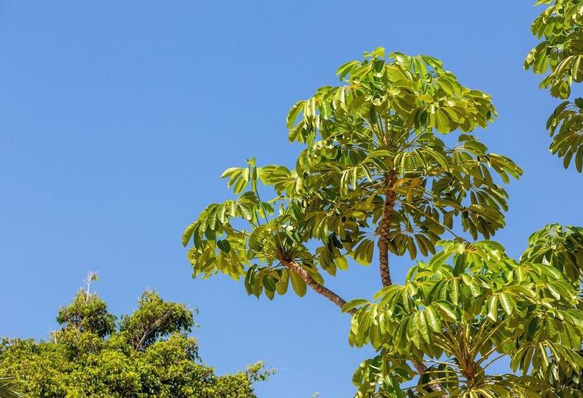 هتل Dunas Luxury Beach Resort Tarifa