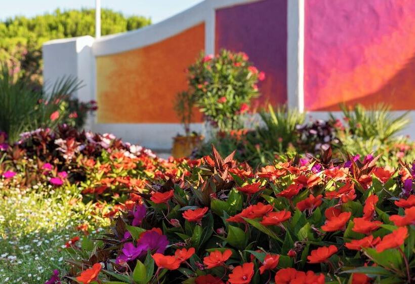 هتل Dunas Luxury Beach Resort Tarifa