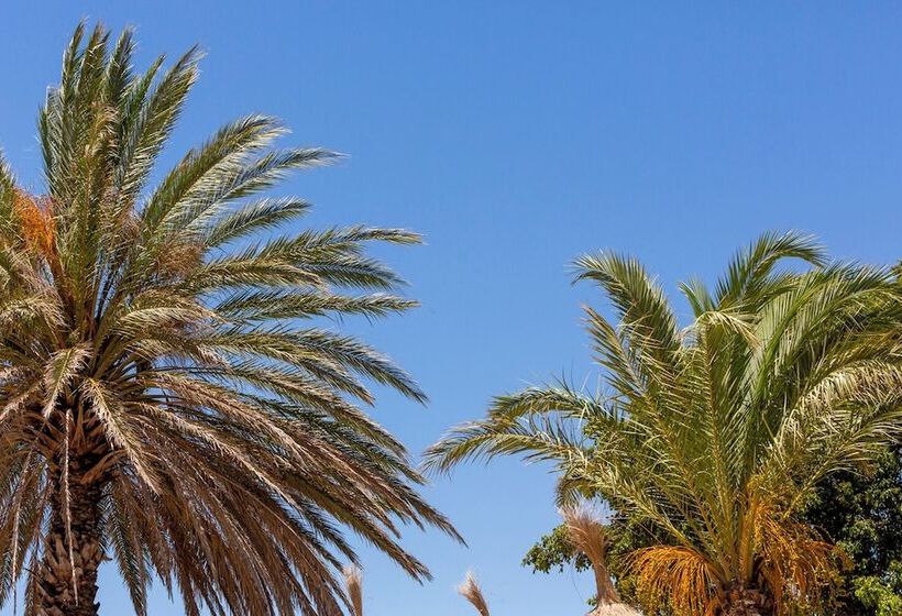 هتل Dunas Luxury Beach Resort Tarifa