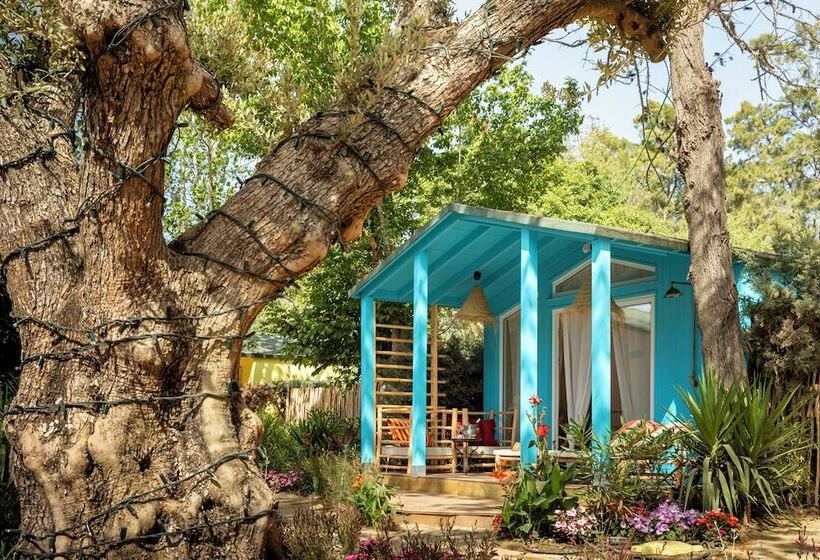 هتل Dunas Luxury Beach Resort Tarifa