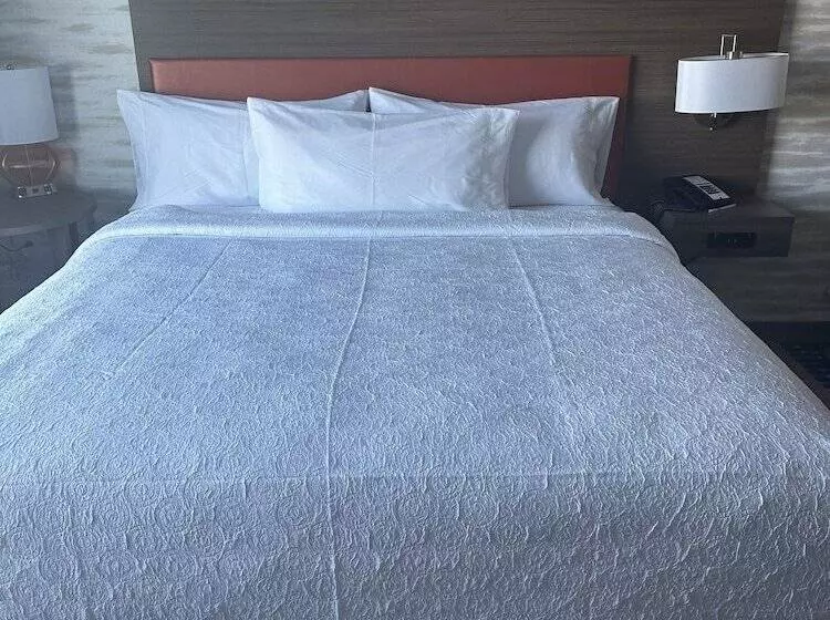 ホテル Home2 Suites By Hilton Racine