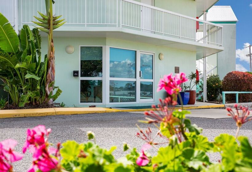 Мотель Reef Adventureland Motor Inn