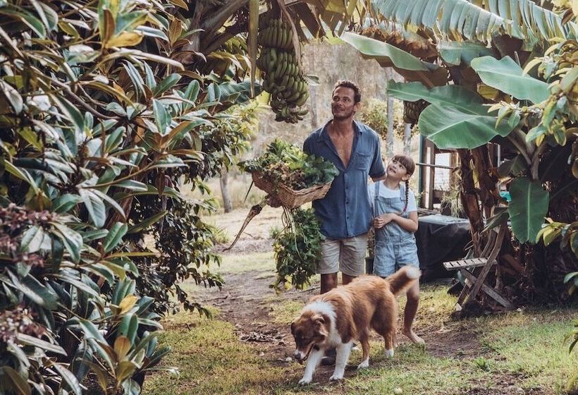 膳宿费 The Moorings Lakehouse