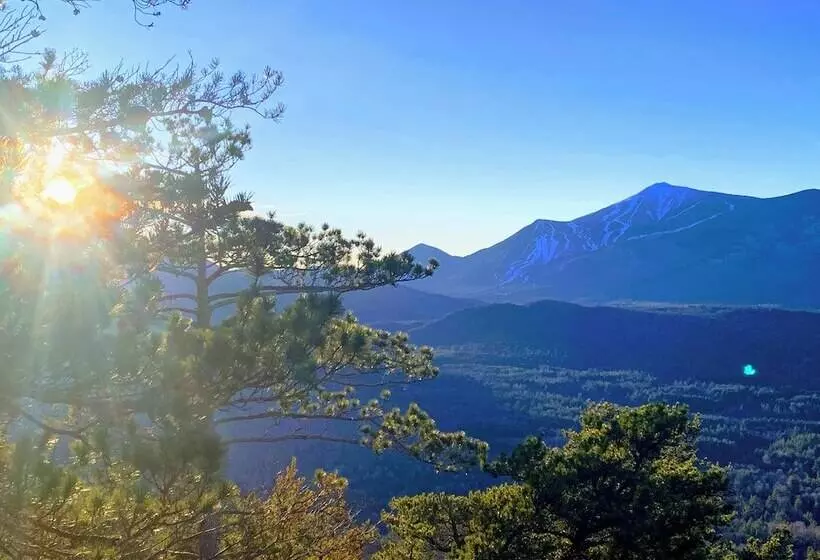 リゾートホテル Newvida Preserve