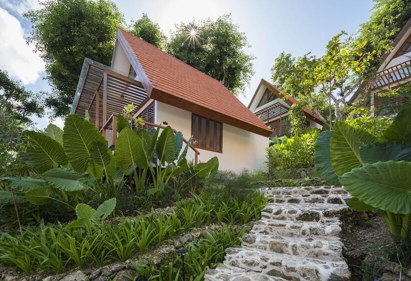 Deep Roots Dive & Yoga Resort