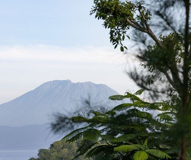 Deep Roots Dive & Yoga Resort