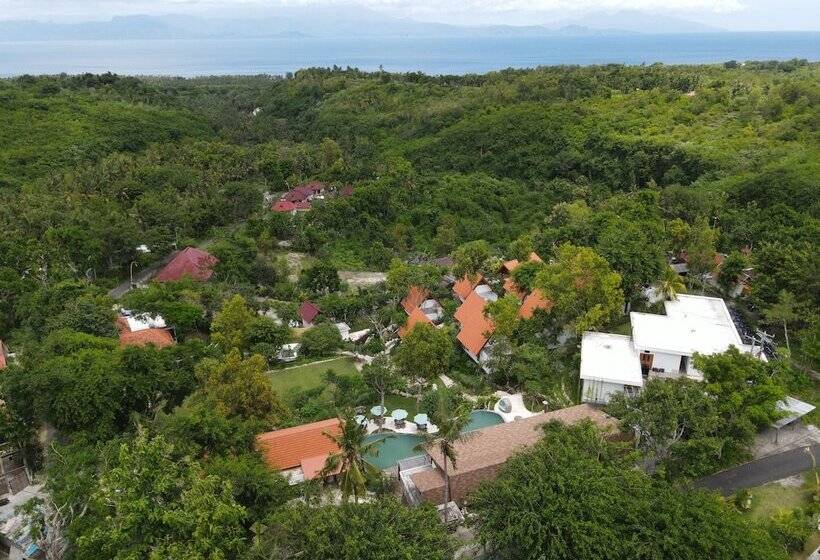 Deep Roots Dive & Yoga Resort