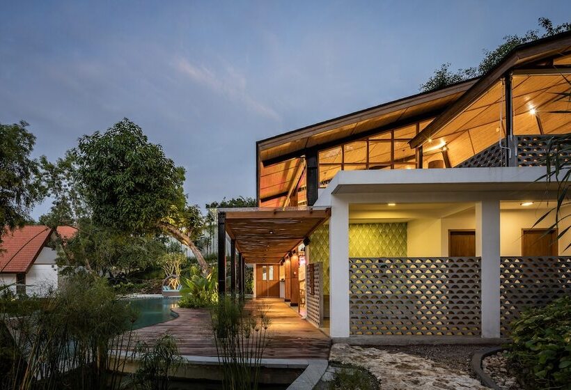 Deep Roots Dive & Yoga Resort