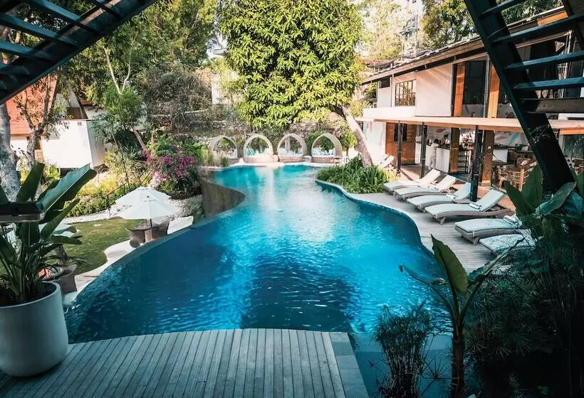 Deep Roots Dive & Yoga Resort