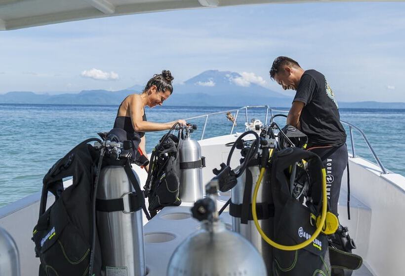 Deep Roots Dive & Yoga Resort