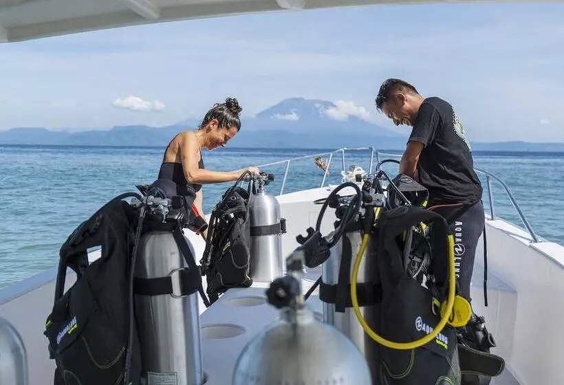 Deep Roots Dive & Yoga Resort