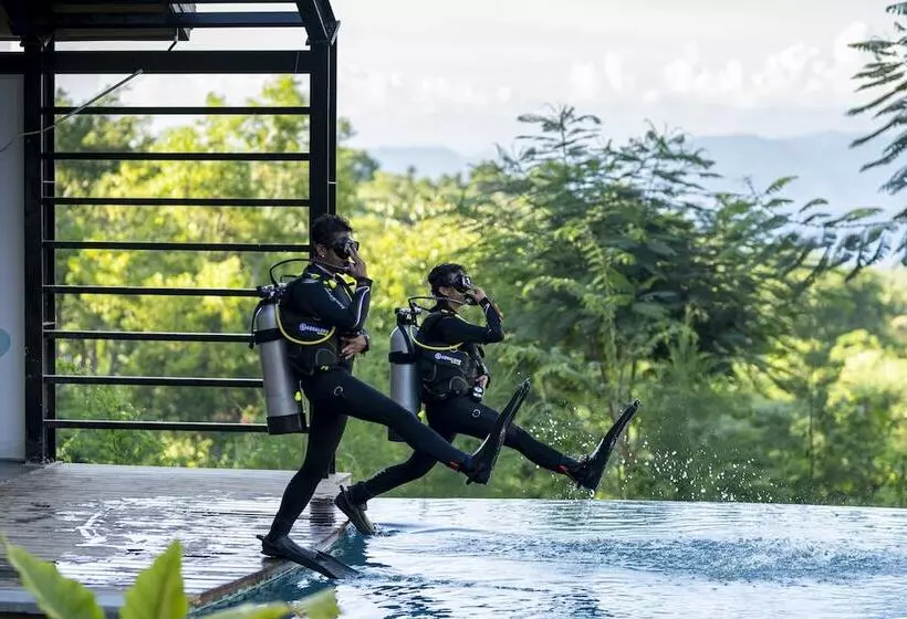 Deep Roots Dive & Yoga Resort