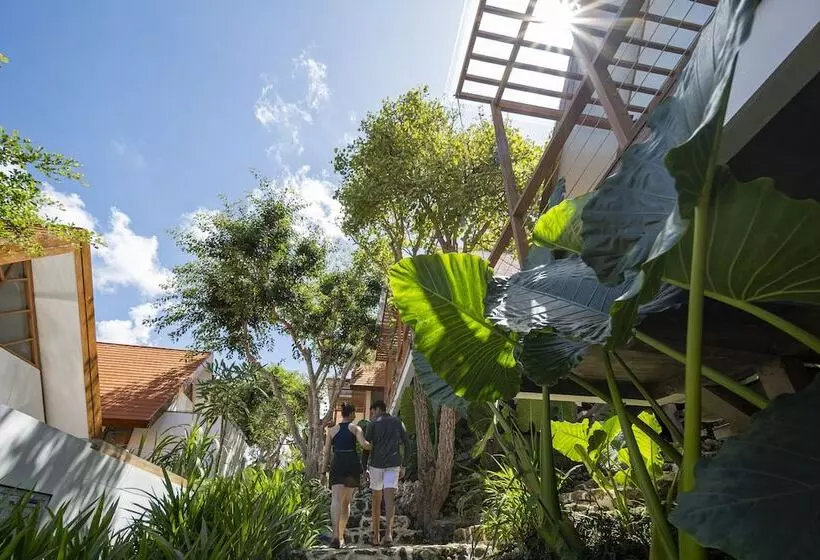 Deep Roots Dive & Yoga Resort