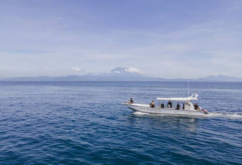 Deep Roots Dive & Yoga Resort